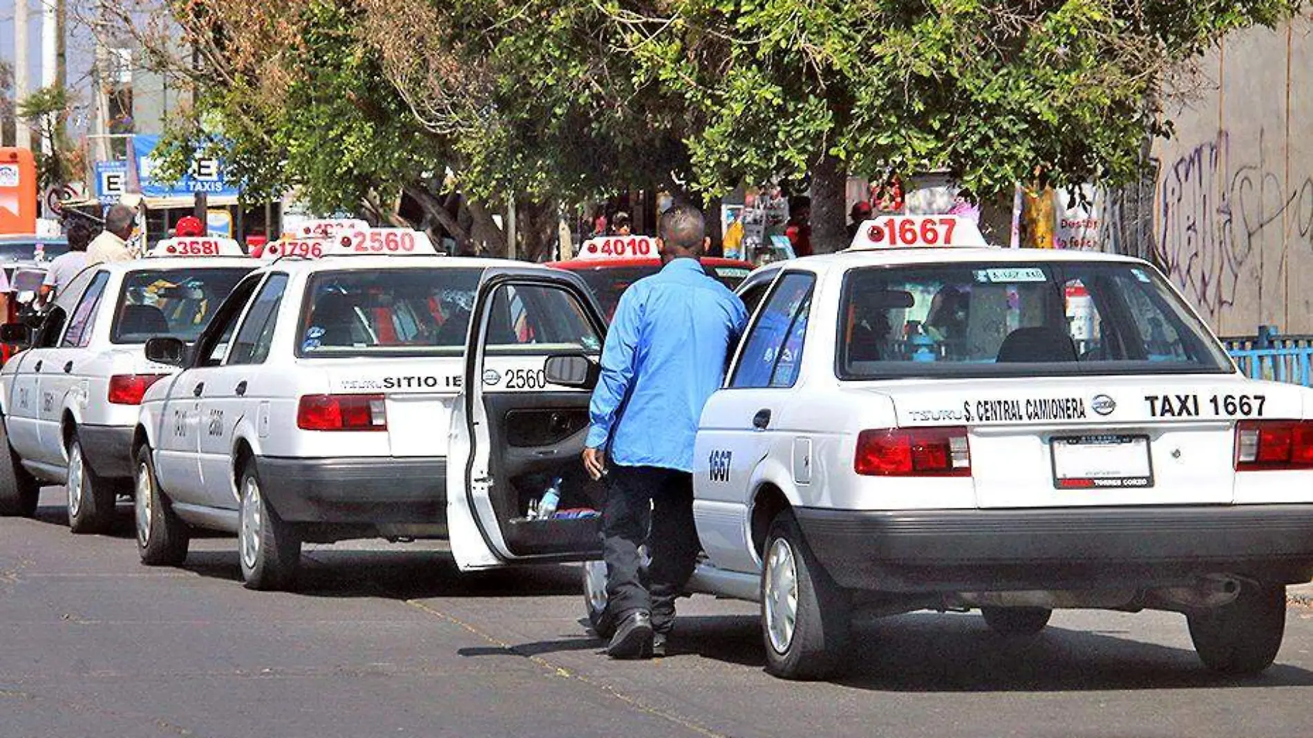 fila de taxis